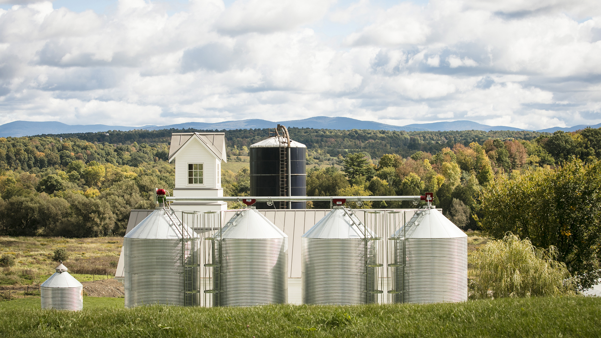 WhistlePig Announces International Partnership With Moët Hennessy