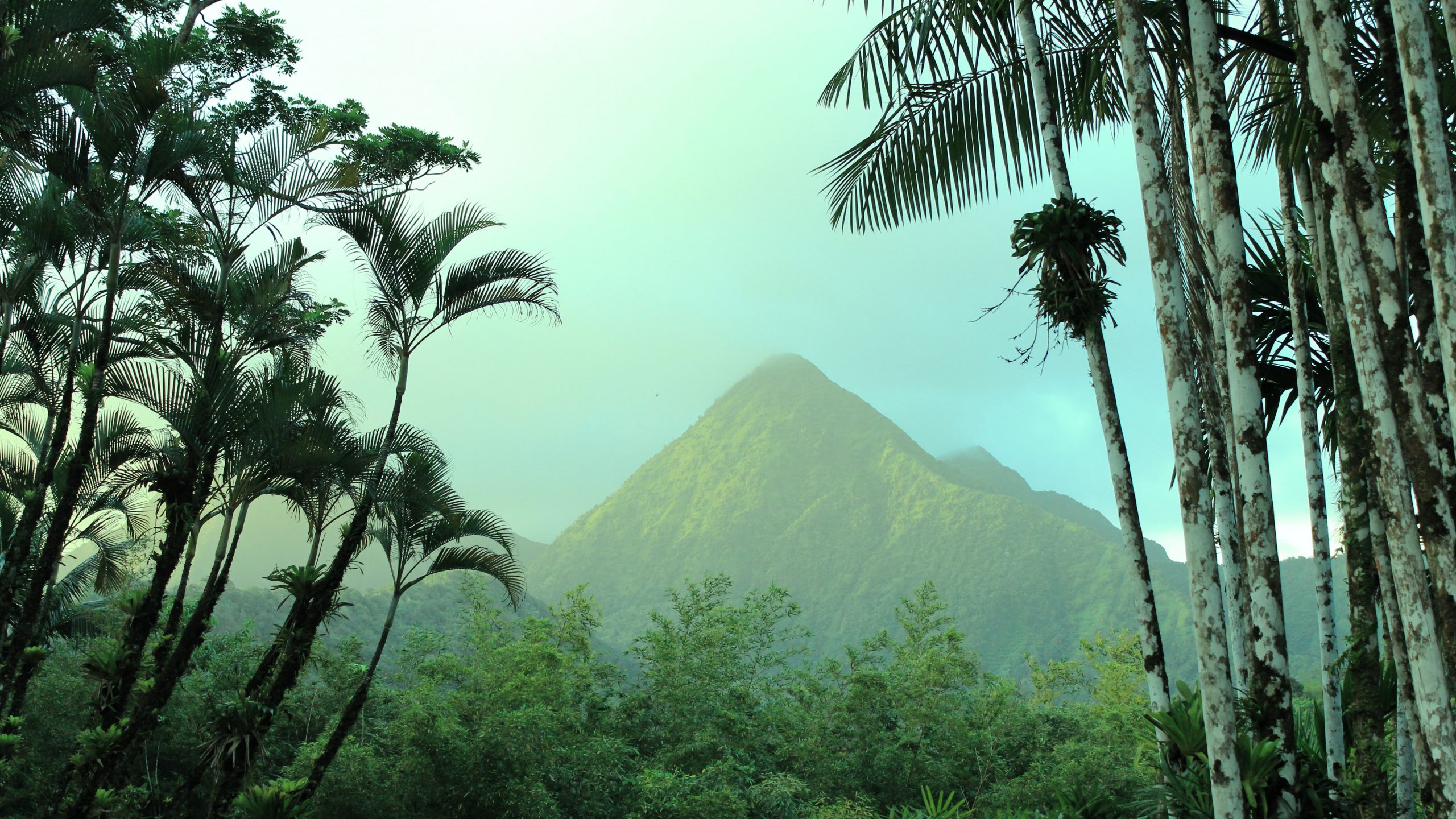 The Best Rums In The World, According To The International Wine