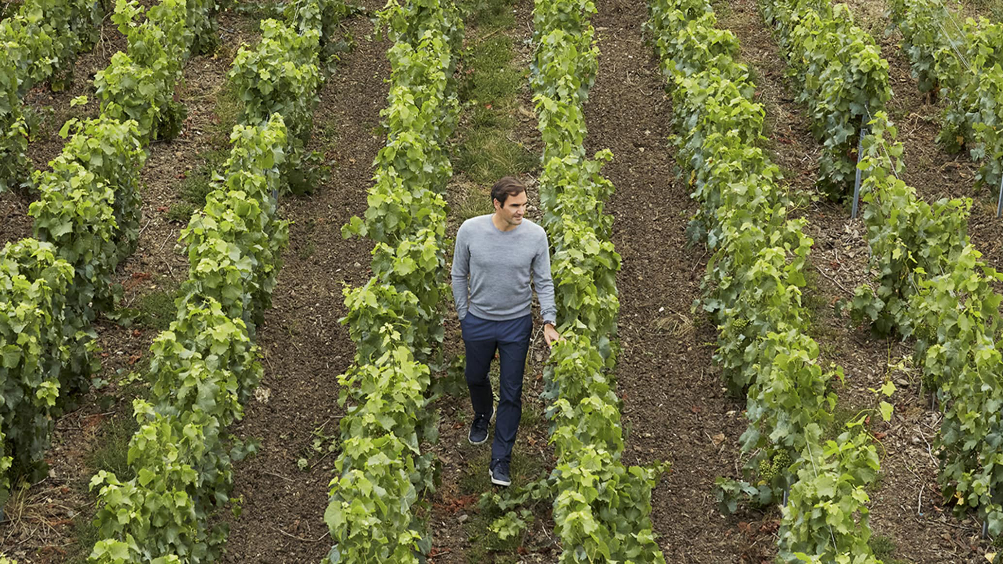 Federer Moët