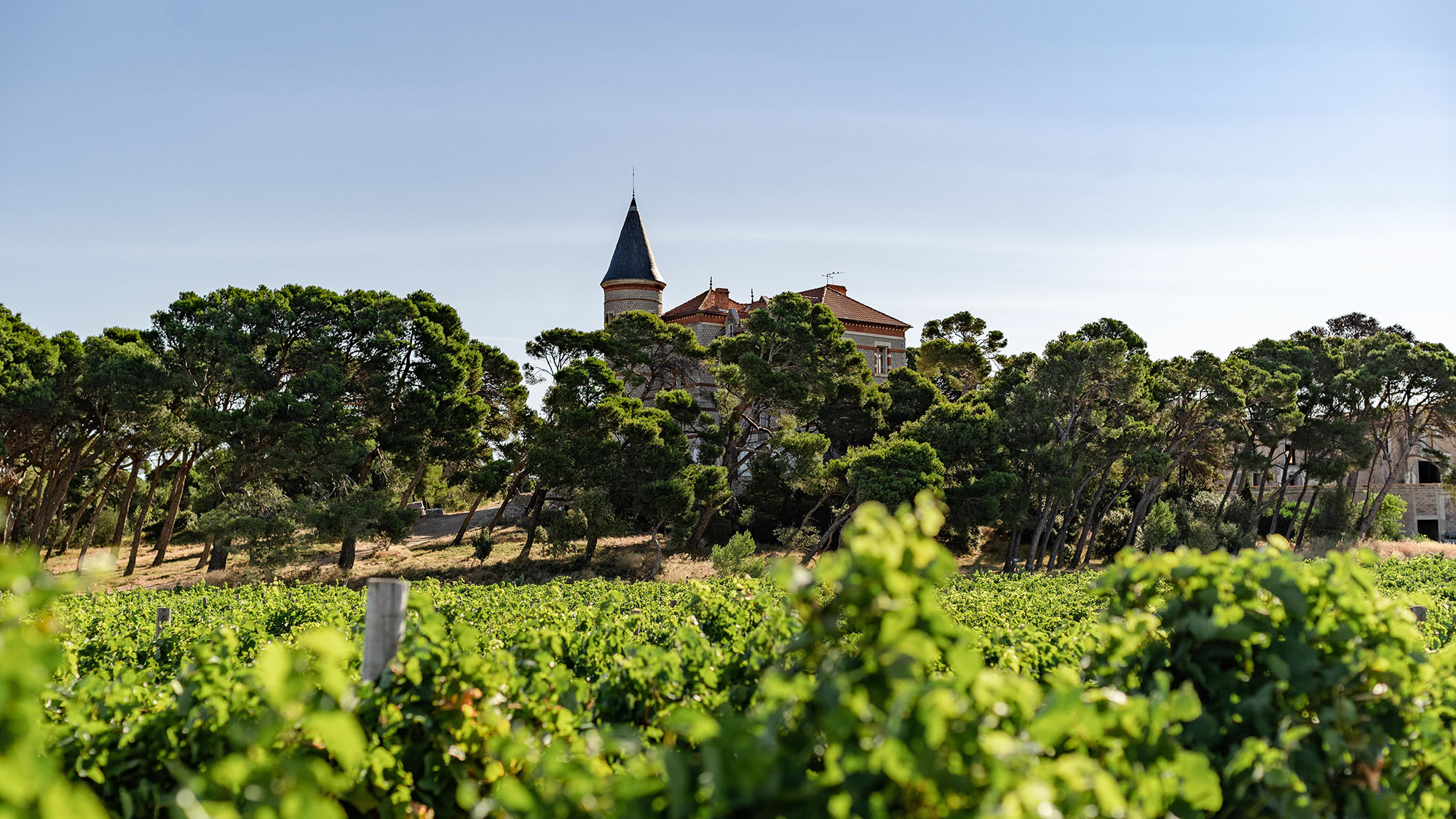 Bonfils Announces Wine Tourism Complex In Languedoc, Château Capitoul