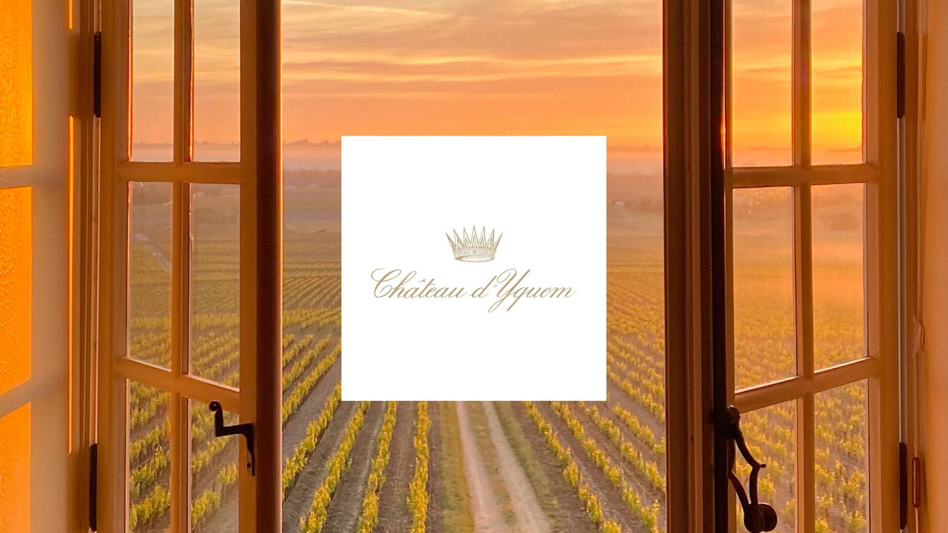 Château d’Yquem Embraces Young And Old With 2019 Vintage