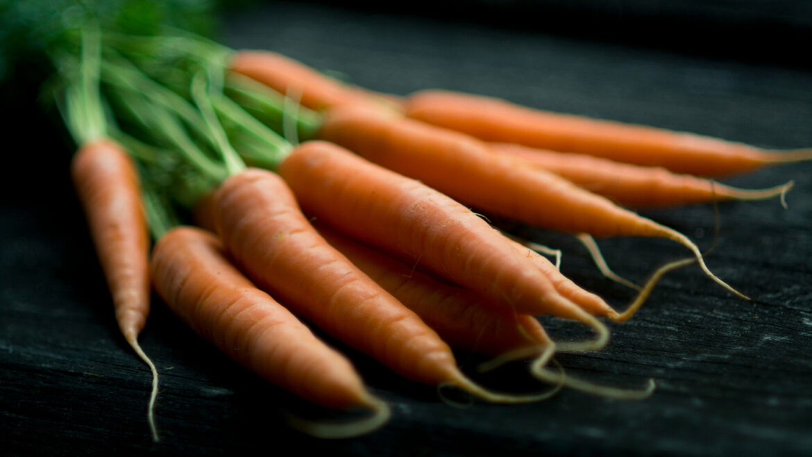 Apologue Launches Autumn-Inspired Carrot Liqueur
